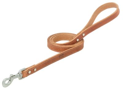 Terrain D.O.G. Dog Leash with Harness Leather