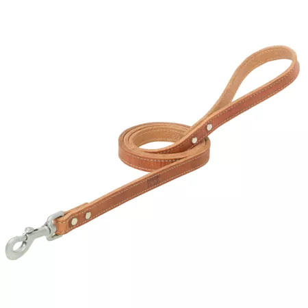 Land D.O.G Dog leash with leather harness Dog Basic Leashes