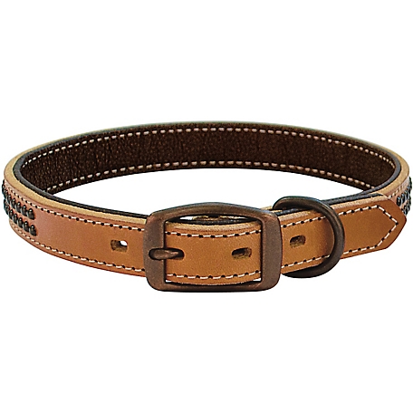 Weaver Leather Outlaw Dog Collar