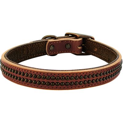 Weaver Leather Outlaw Dog Collar