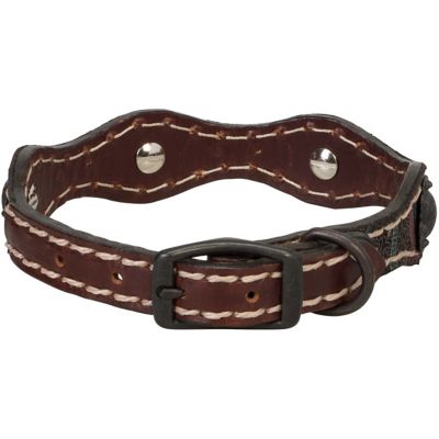 Image showing  Vintage Paisley Dog Collar, 3/4 in.