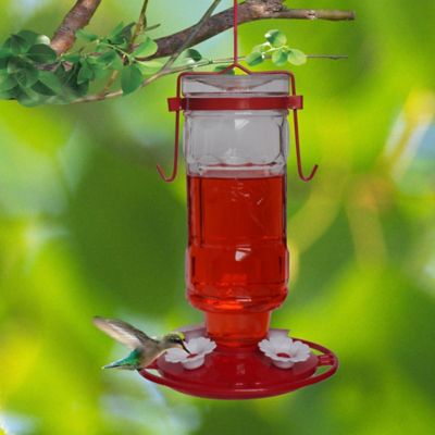 NEW Royal Wing Hummingbird Feeder Clear Glass with Red Metal Hanger ...