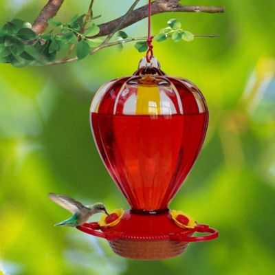 NEW Royal Wing Hummingbird Feeder Clear Glass with Red Metal Hanger ...