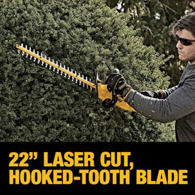 Image showing  22 in. 20V Max Cordless Hedge Trimmer, Battery and Charger Included