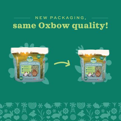 Image showing  Timothy Meadow Hay Small Animal Treat, 35 oz.