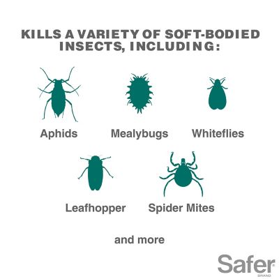 Image showing  16 fl. oz. Insect Killing Soap Concentrate, Organic