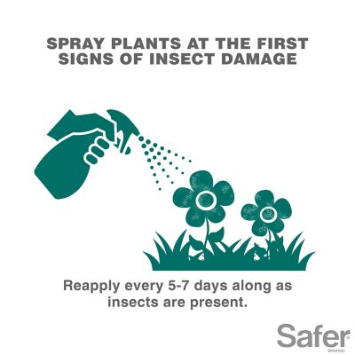 Image showing  16 fl. oz. Insect Killing Soap Concentrate, Organic