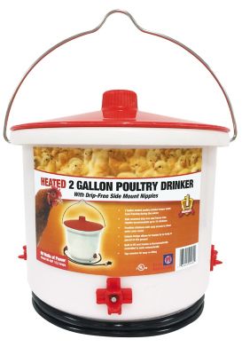 Farm Innovators 2 gal. Heated Poultry Waterer with Side Nipples