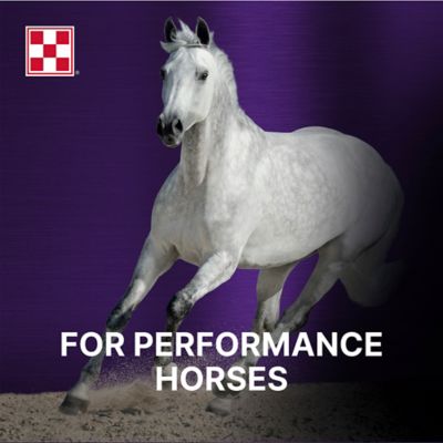 Image showing  Ultium Gastric Care Horse Feed, 50 lb. Bag