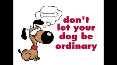 Image showing  Rope 'N Ring Tug Dog Toy