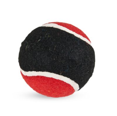 Dogzilla Tuff Tennis Ball Dog Toy, Large