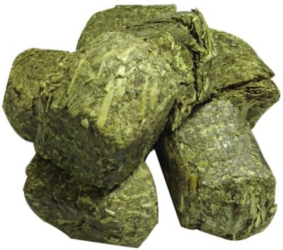 Image showing  All-Natural Small Pet Timothy Hay Cubes, 16 oz.