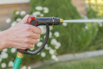 Image showing  Adjustable Pattern Pro Flo Thumb Control Spray Nozzle