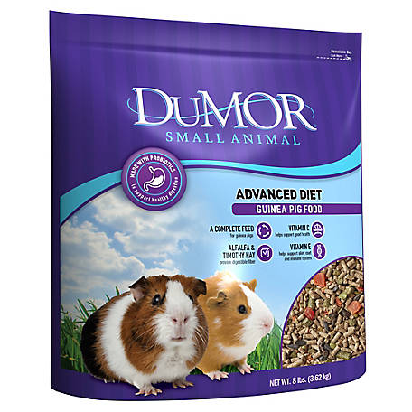 DuMOR Advanced Diet Guinea Pig Food, 8 lb.