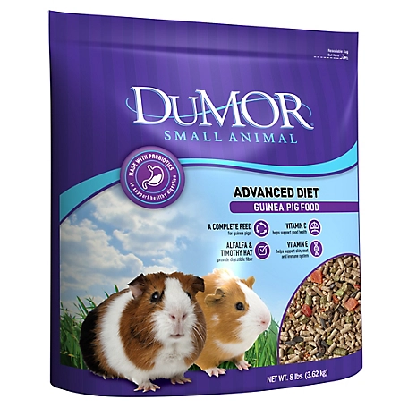 DuMOR Advanced Diet Guinea Pig Food, 8 lb. at Tractor Supply Co.