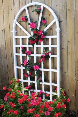 Image showing  39 in. x 77 in. Athens Vinyl Trellis, White