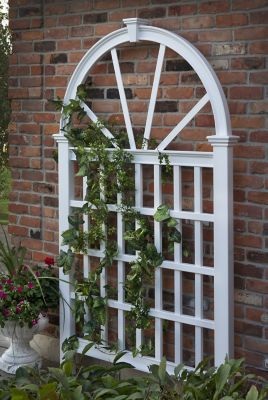 Vita 49 in. x 83.75 in. Vienna Trellis