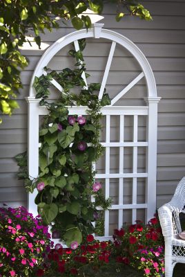 Image showing  49 in. x 83.75 in. Vienna Trellis