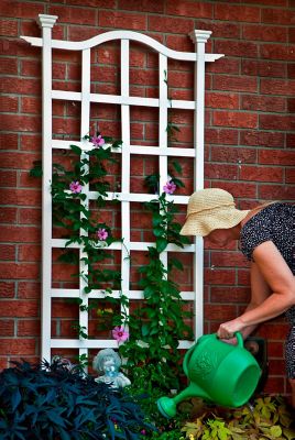 Image showing 3 th Vita 30 in. x 79 in. London Vinyl Trellis, White