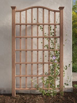 Vita 7.5 ft. x 4.5 ft. Concord Trellis