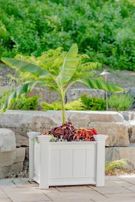 Vita 3.54 cu. ft. PVC Barcelona Planter Box