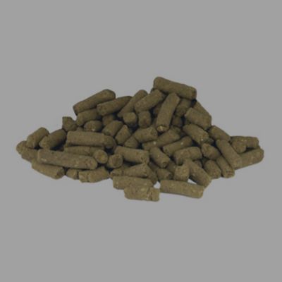 Image showing  Premium Diet Ferret Food, 22 oz.