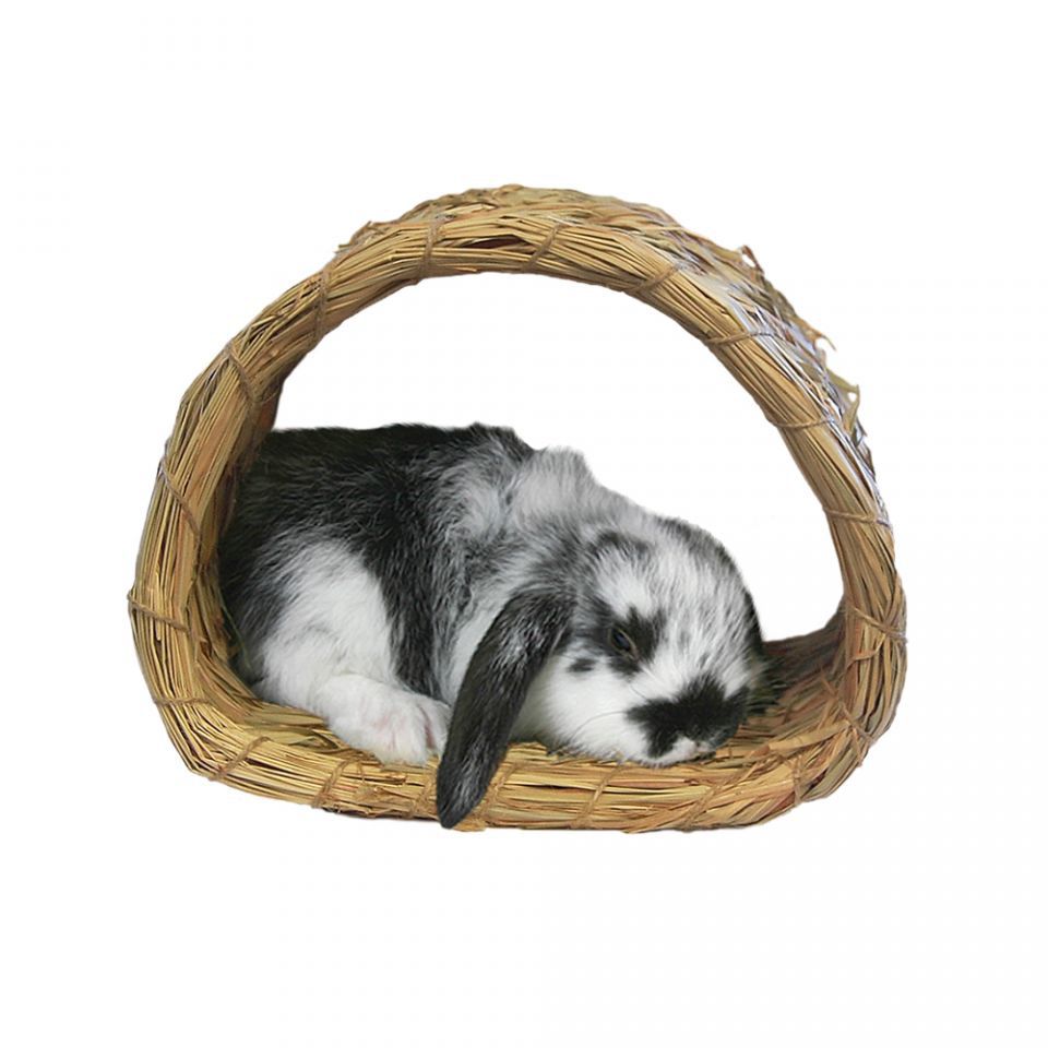 image of a Small Pet Sleepers & Hideaways