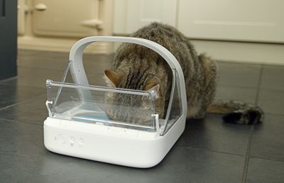 Image showing  13.5 oz. Microchip Automatic Plastic Pet Feeder