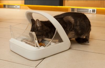 Image showing  13.5 oz. Microchip Automatic Plastic Pet Feeder