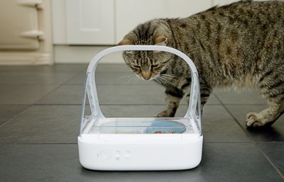 Image showing 7 th SureFlap 13.5 oz. Microchip Automatic Plastic Pet Feeder