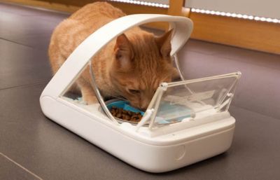 Image showing 9 th SureFlap 13.5 oz. Microchip Automatic Plastic Pet Feeder