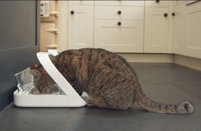 Image showing 10 th SureFlap 13.5 oz. Microchip Automatic Plastic Pet Feeder