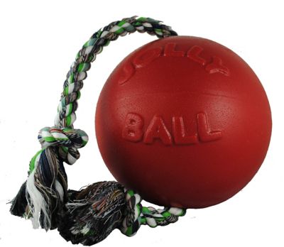 Jolly Pets Romp-n-Roll Ball Dog Toys, 8 in., Red