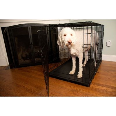 Image showing  2-Door Metal Foldable Pet Training Crate with Divider