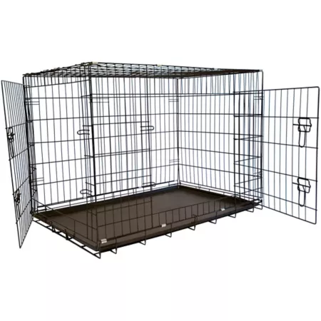 Iconic Pet 2-Door Foldable Metal Pet Training Crate with Divider Wire Crates