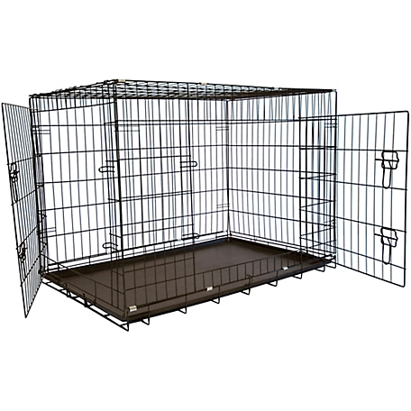 Iconic Pet Foldable 2-Door Metal Pet Training Pet Crate with Divider