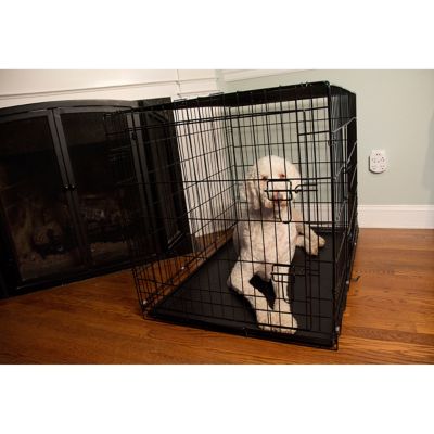 Image showing  2-Door Metal Foldable Pet Training Crate with Divider