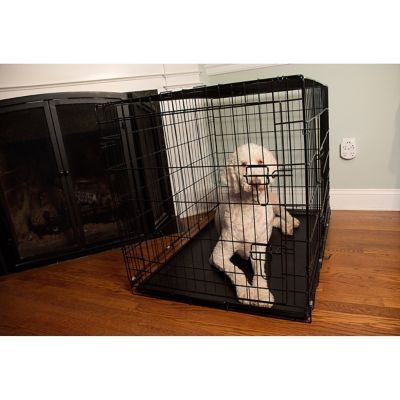 Image showing  2-Door Metal Foldable Pet Training Crate with Divider