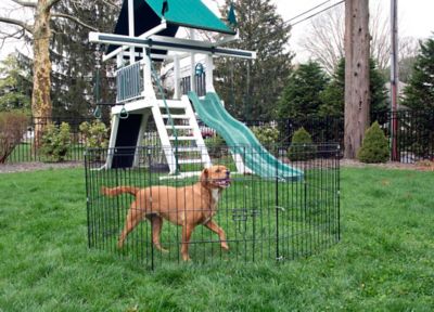 Image showing  Indoor/Outdoor 8-Panel Portable/Foldable Pet Wire Pen, 24 in.