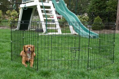 Image showing  Indoor/Outdoor 8-Panel Portable/Foldable Pet Wire Pen, 24 in.