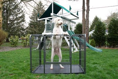 Image showing 5 th Iconic Pet Heavy-Duty Dog Crate with Removable Advanced PP Tray