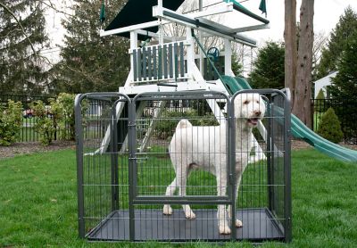 Image showing 6 th Iconic Pet Heavy-Duty Dog Crate with Removable Advanced PP Tray