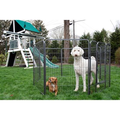 Image showing  Heavy-Duty Pet Exercise and Training Pen