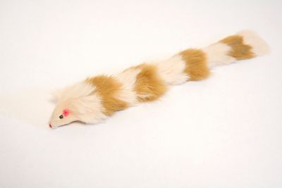 Image showing  Multi-Colored Fur Weasel Cat Toys, 2-Pack