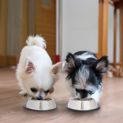 Image showing 6 th Iconic Pet Non-Skid Stainless Steel Pet Food Bowl, 1 Cup, 1-Pack