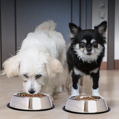 Image showing 6 th Iconic Pet Non-Skid Stainless Steel Pet Food Bowl, 2 Cups, 1 pk.