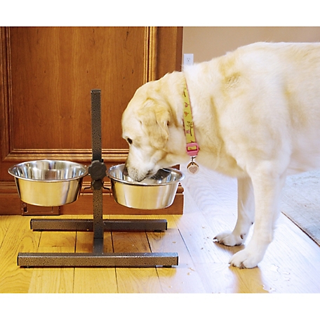 Iconic Pet Adjustable Stainless Steel Pet Double Diner for Dog U Design - 3 qt - 96oz - 12 Cup