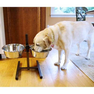 Image showing  20-Cup Adjustable Elevated Stainless Steel Double Diner Dog Bowl Set