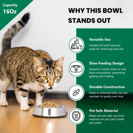 Iconic Pet Ant-Proof Anti-Slip Stainless Steel Dog or Cat Bowl 2 Cups 1 Pack Single Dog Bowls