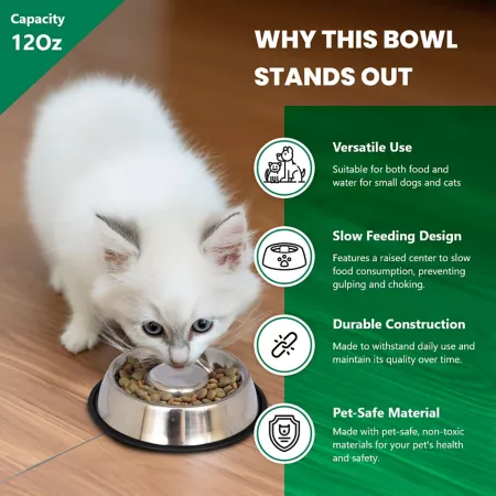 Iconic Pet Slow Feed Stainless Steel Dog or Cat Bowl 1.5 Cup 1 Pack Slow & Puzzle Feeders